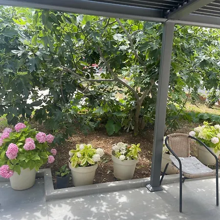 House Neda 아파트